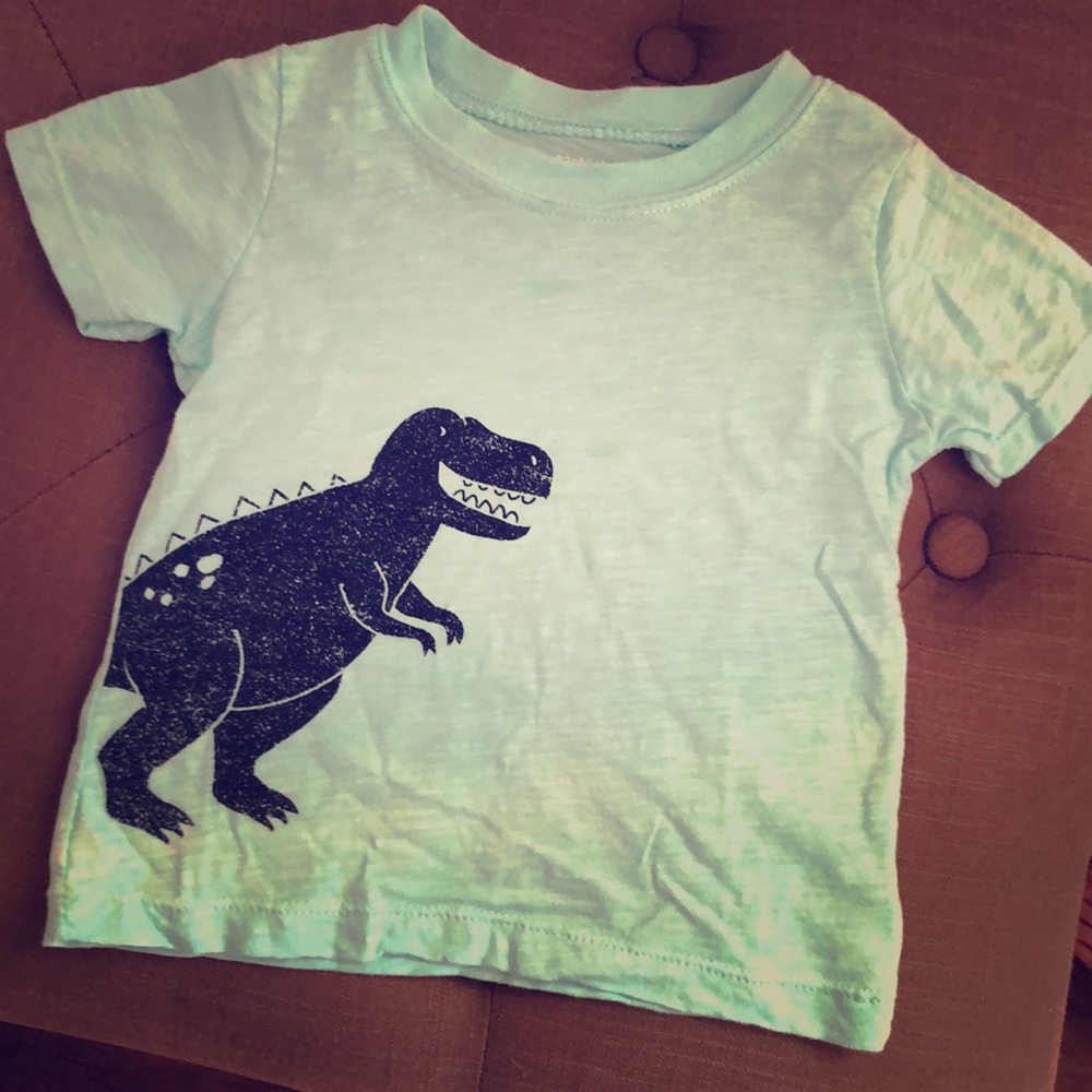 Carters Dinosaur 🦖 T-Shirt